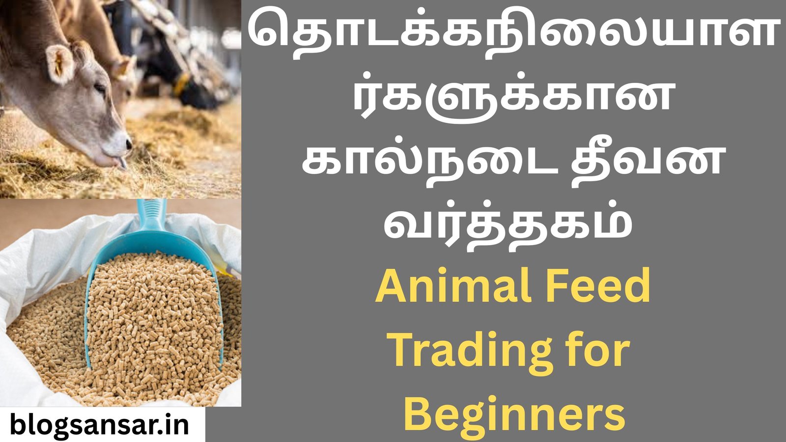 Animal Feed Trading for Beginners