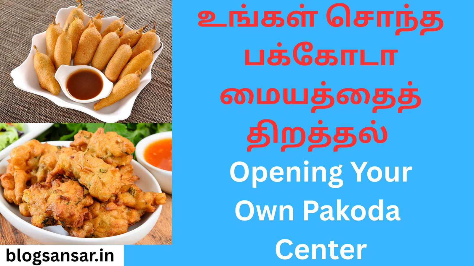 Opening Your Own Pakoda Center