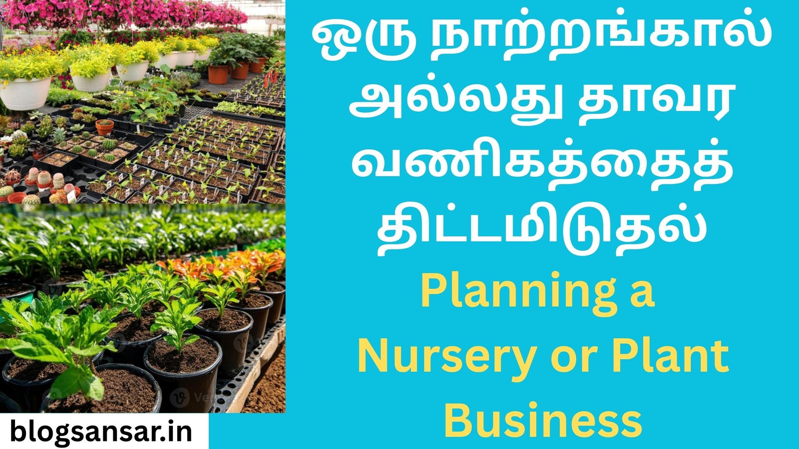 Planning a Nursery or Plant Business